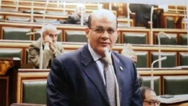 برلمانى: مصر تسير بخطى ثابتة نحو تشجيع الصناعات الوطنية