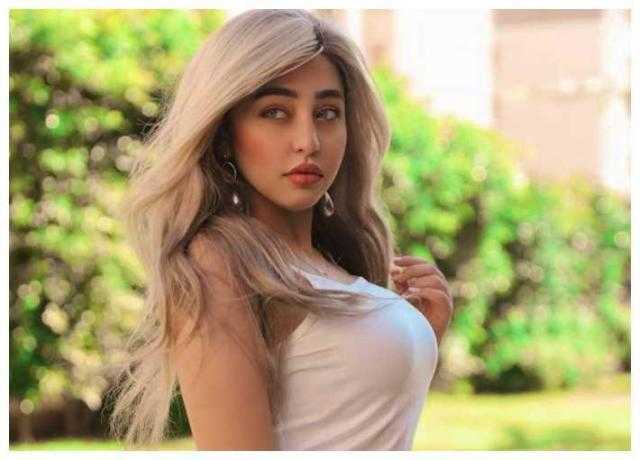 تأجيل جلسات استئناف منار سامى لـ 19 سبتمبر