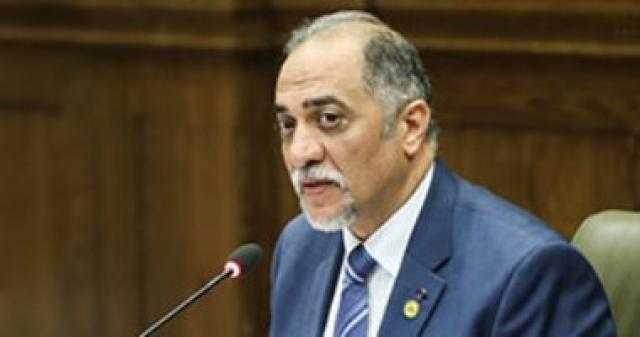 القصبي: إنجازات عهد الرئيس السيسي بحقوق الإنسان تكذب المنظمات المشبوهة