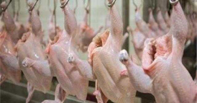 ضبط 3 أطنان دجاج فاسد داخل مطعم للوجبات الجاهزة فى العبور