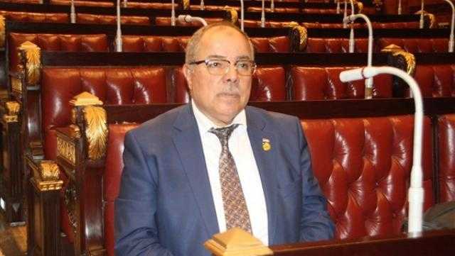 إسماعيل نصر الدين: وقف إطلاق النار في ليبيا بداية للقضاء على الإرهابيين والمرتزقة