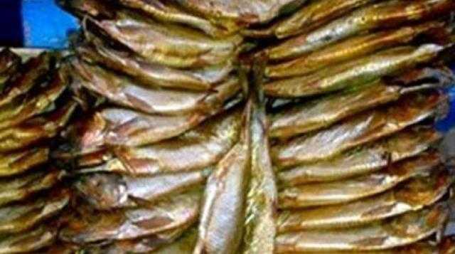ضبط 1.25 طن رنجة وجمبري مجمدة ومجهولة المصدر بالقاهرة