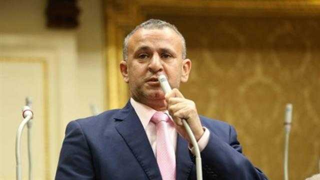 فوزي الشرباصي: المساعدات المصرية للبنان والسودان تؤكد ريادة مصر ودورها العربي البطولي 