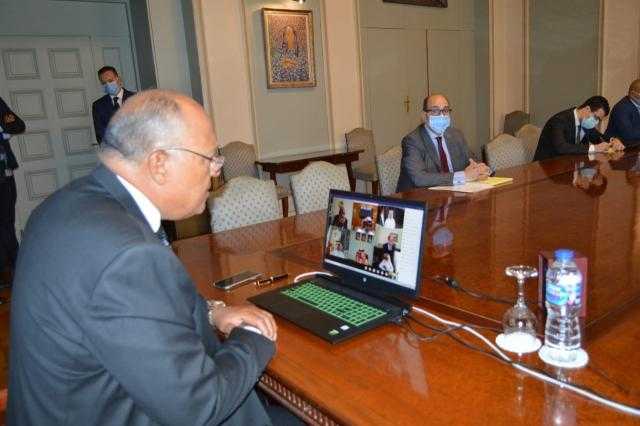 نص كلمة وزير الخارجية خلال الدورة الـ154 لمجلس جامعة الدول العربية