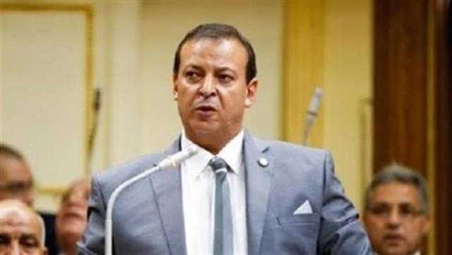 برلماني: إشادة صندوق النقد بمواجهة مصر لكورونا دليل نجاح سياسات الدولة