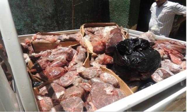 ضبط طن لحوم ودواجن مجمدة فاسدة بثلاجة في الإسكندرية