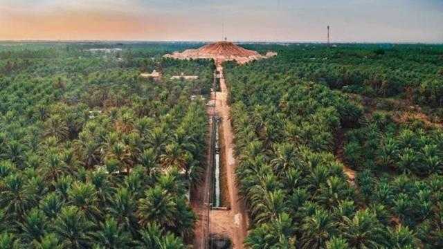 جينيس تعلن تسجيل الأحساء أكبر واحة في العالم