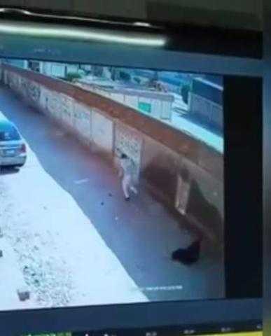 تحديد هوية السيدة المُعتدى عليها في السلام.. تعرف على التفاصيل