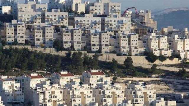 أبو الغيط: عودة إسرائيل للنشاط الاستيطاني تناقض