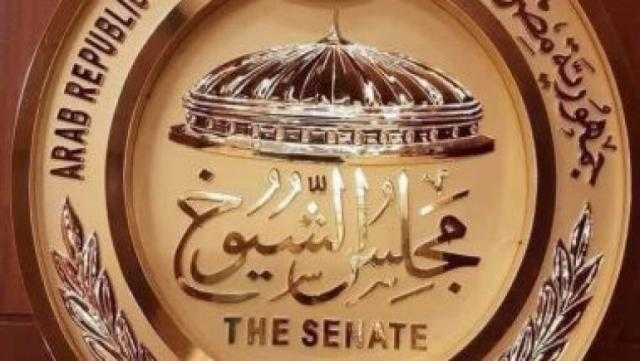 وكيل مجلس الشيوخ: ينتظرنا عمل مكثف طويل حتى تخرج اللائحة