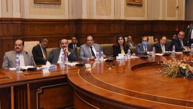 اجتماع لجنة إعداد اللائحة الداخلية لمجلس الشيوخ