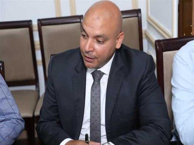 عضو مجلس الشيوخ: دول العالم تسعى إلى الاقتداء بمصر في طرق مواجهة أزمة كورونا.. فيديو