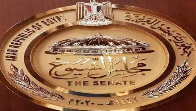 «الشيوخ» منقسم حول تشكيل هيئات ائتلافية داخل المجلس