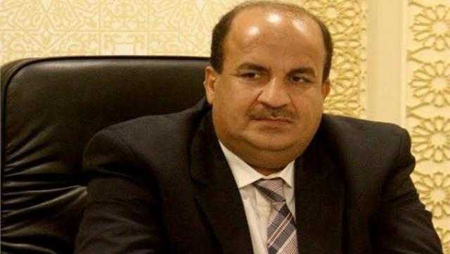برلماني: المبادرة الرئاسية «اتكلم عربي» ستنطلق داخل الدول العربية