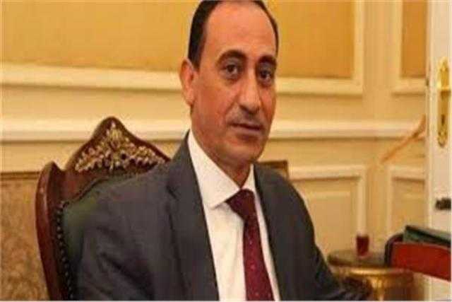 برلماني: خبراء مصر بالخارج قادرون على دعم تطوير الغزل والنسيج في مصر