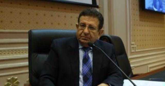 برلماني: مصر كشفت للعالم خطورة الإرهاب
