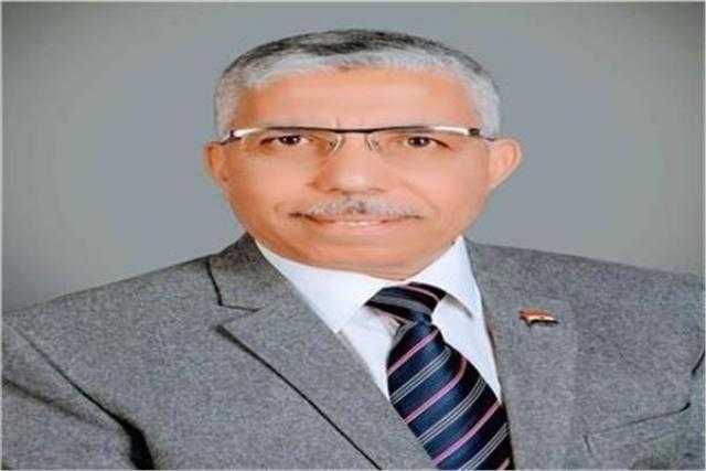 حماة الوطن: قرار البرلمان الأوروبي تضمن العديد من المغالطات عن مصر