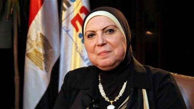 وزيرة الصناعة أمام الشيوخ: تعميق الصناعة الوطنية على رأس أولويات الوزارة
