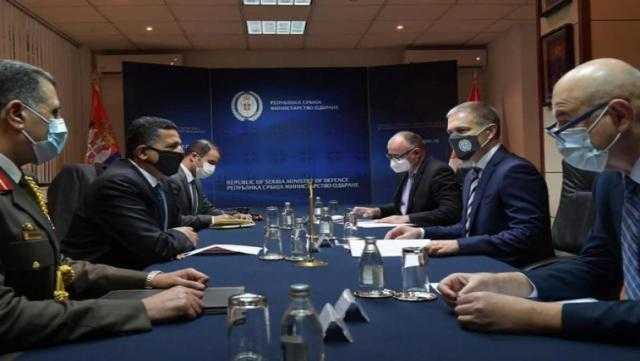 سفير مصر في بلجراد يلتقي نائب رئيسة وزراء صربيا