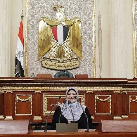 زينب السلايمي تتقدم بطلبي إحاطة حول طريق الموت ومشكلات مرضى الفشل الكلوي بإسنا