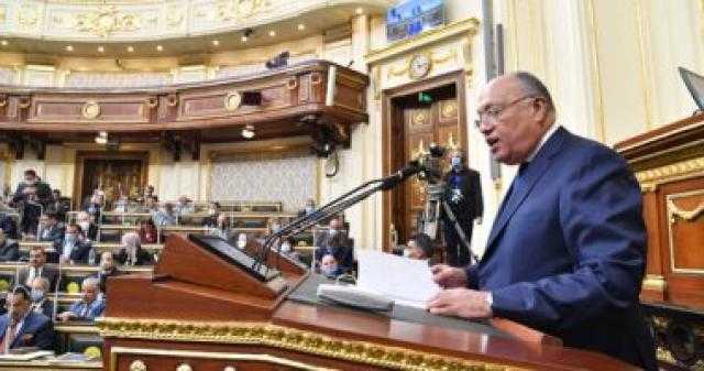 وزير الخارجية: مصر قدمت 4 ملايين دولار لإفريقيا لمواجهة كورونا