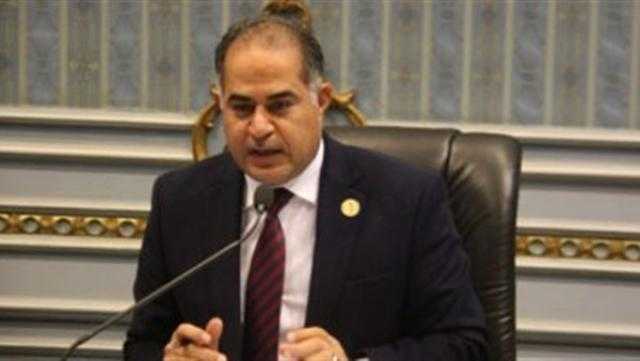 برلماني يشيد بالتحركات المصرية السريعة لدعم الفلسطينيين ضد العدوان الإسرائيلي