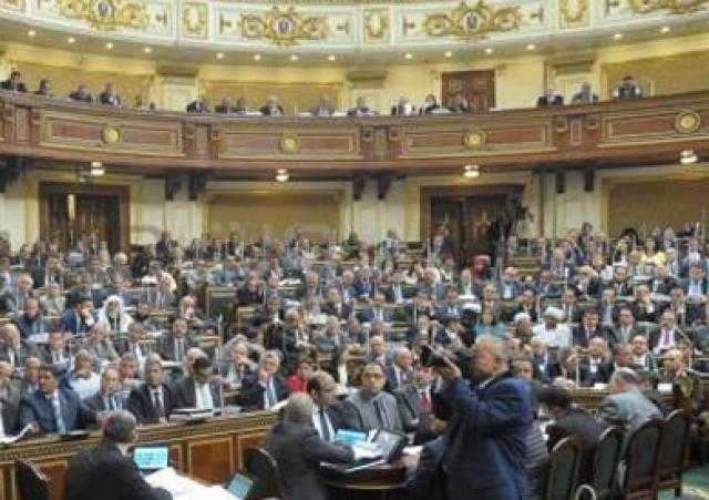 برلمانية: نواب تنسيقية شباب الأحزاب والسياسيين يسعون لتحقيق أحلام تليق بالمواطن
