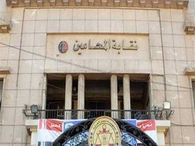 ”عركة المحامين”.. اشتباكات بين أنصار المرشحين توقف لجان الانتخابات