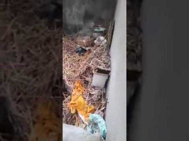 حريق يلتهم منزل مسنة بالشرقية بسبب ماس كهربائي