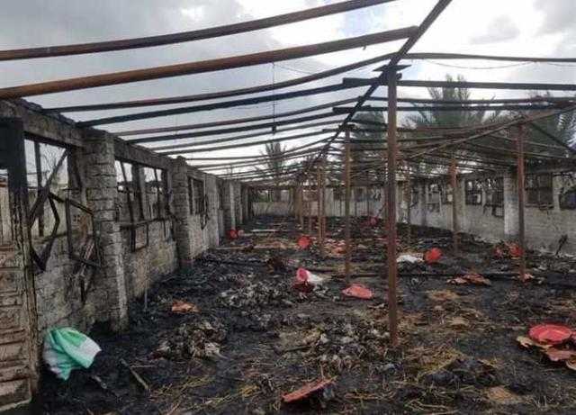 حريق هائل يلتهم 6 آلاف دجاجة بمزرعة دواجن في الدقهلية