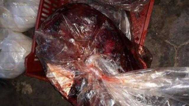 ضبط 3 أطنان كبدة فاسدة بالقليوبية