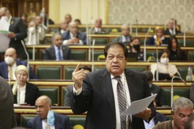 أبو العينين: الروبيكي للجلود نموذج جديد للصناعات المتخصصة في مصر.. فيديو