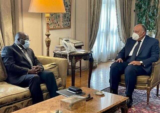 بالصور.. وزير الخارجية يستقبل نظيره الغيني لدفع آفاق التعاون