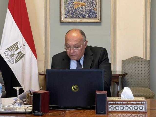 شكري يشارك في الاجتماع الوزاري لمجلس السلم والأمن الإفريقي
