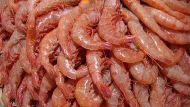 ضبط طن جمبري غير صالح للاستهلاك الأدمي بالقاهرة