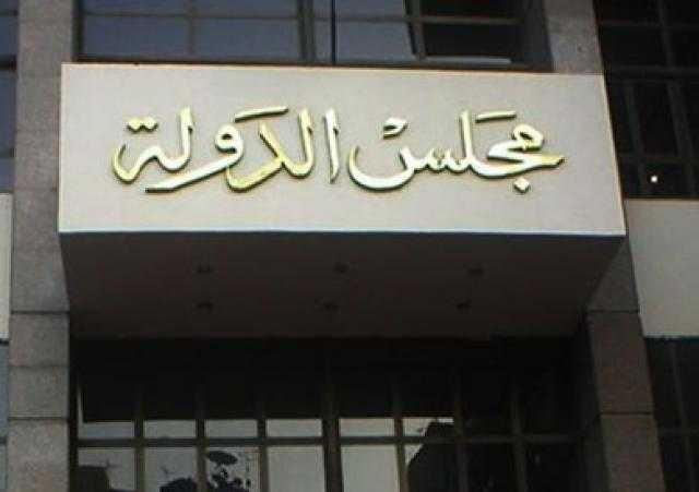 نائب رئيس مجلس الدولة: 50% ممن يشاركون في العمل سيدات