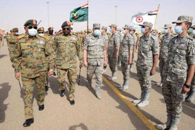 أنشطة مكثفة للتدريب الجوي المصري السوداني المشترك ”نسور النيل 2”.. صور