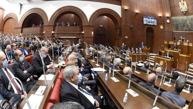 تشريعية الشيوخ: قانون حقوق الأشخاص ذوي الإعاقة يستهدف مواجهة التنمر بتغليظ العقوبة