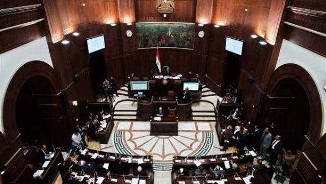 برلماني: الدولة المصرية قادرة على النهوض رغم أي أزمات
