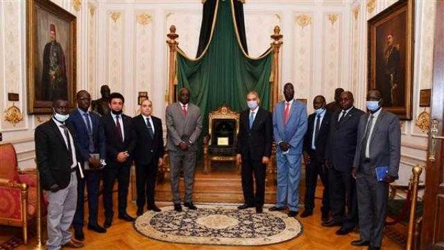 وزير المجالس النيابية يستقبل وفدا قضائيا من جنوب السودان