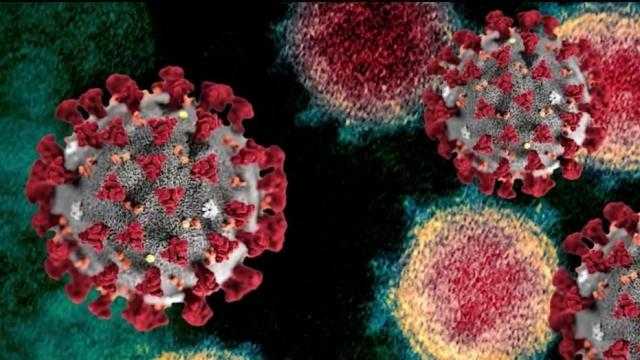 قيرغيزستان تسجل 208 إصابات جديدة بفيروس كورونا خلال 24 ساعة