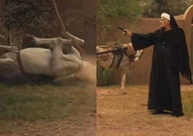 محمد رمضان: مشهد إطلاق النار على الحصان في مسلسل موسى «غير حقيقي»