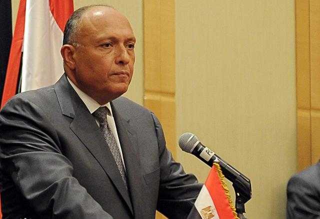 سامح شكري بالبرلمان: الرئيس السيسي حريص على تفعيل العلاقات المصرية مع إفريقيا