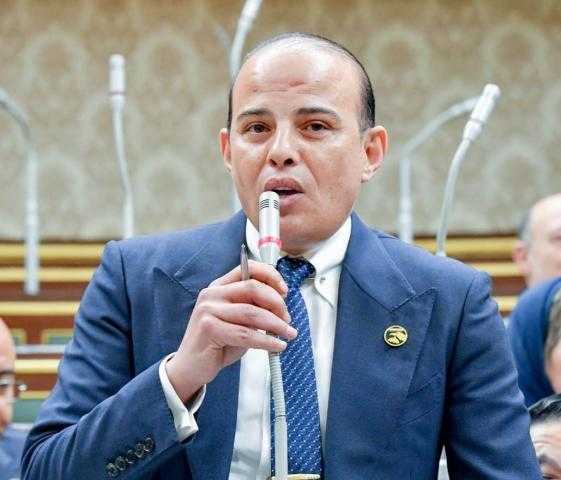 عمرو القطامي يشكر محافظ الجيزة على استجابته بتقنين أراضي الواحات