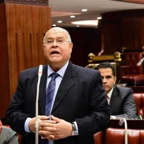 ناجي الشهابي يشيد بحديث الرئيس السيسي على هامش التعاون الاستراتيجي مع كوريا الجنوبية في التصنيع الثقيل