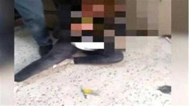 دماء داخل الفصل.. ضبط طالبتين بتهمة التشاجر في مدرسة بالمعادي