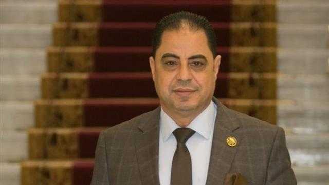 عضو بـ”النواب”: قرار السيسي بتجهيز ألف عروس يؤكد حرصه واهتمامه بشعبه