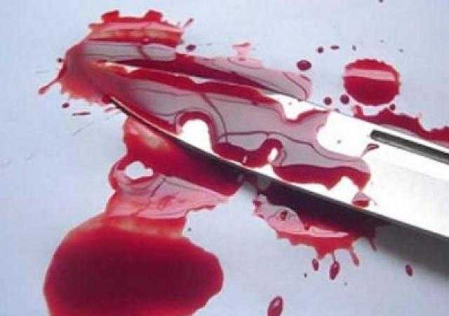 فلاح يطعن آخر بطعنة نافذة بالصدر بسبب أولوية المرور بالكارو في الدقهلية