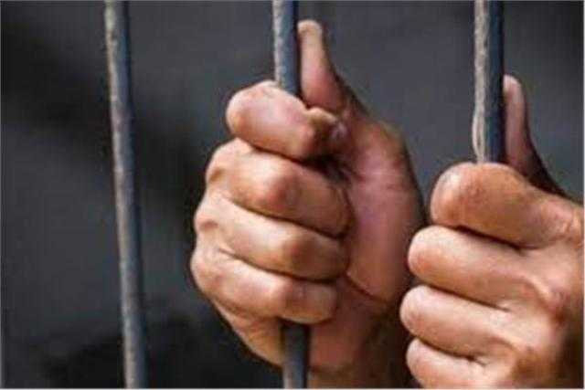 النيابة: فردا أمن جامعة المنصورة أكدا تعدي المتهم بقتل ”نيرة” عليها بسكين