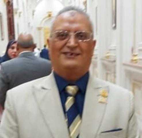 برلماني: مصر بذلت جهودًا إقليمية رائدة في مجال مكافحة الهجرة  الغير الشرعية
